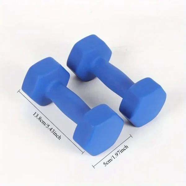 006e5b66cb0b4f77b5d8f9e168dd8c7f-goods Cross-Border Colored Dumbbells - 2 Packs