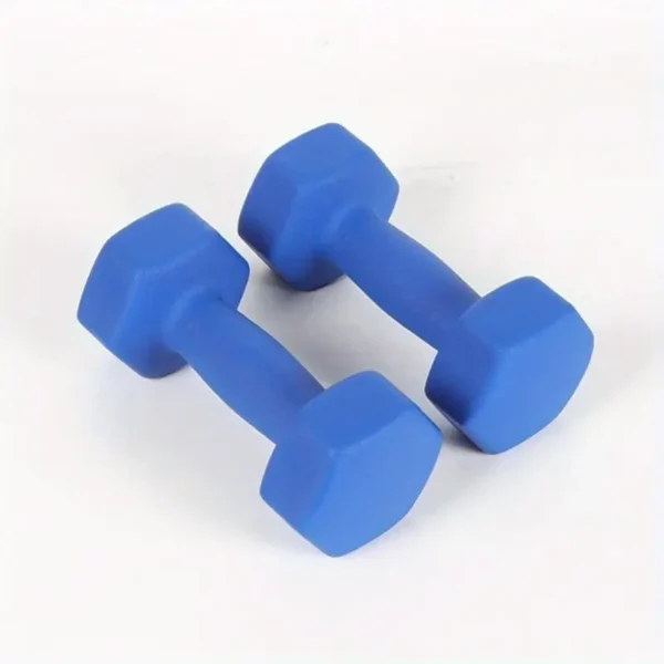 2c798f47318745d39f90b2fca2e95ac1-goods Cross-Border Colored Dumbbells - 2 Packs